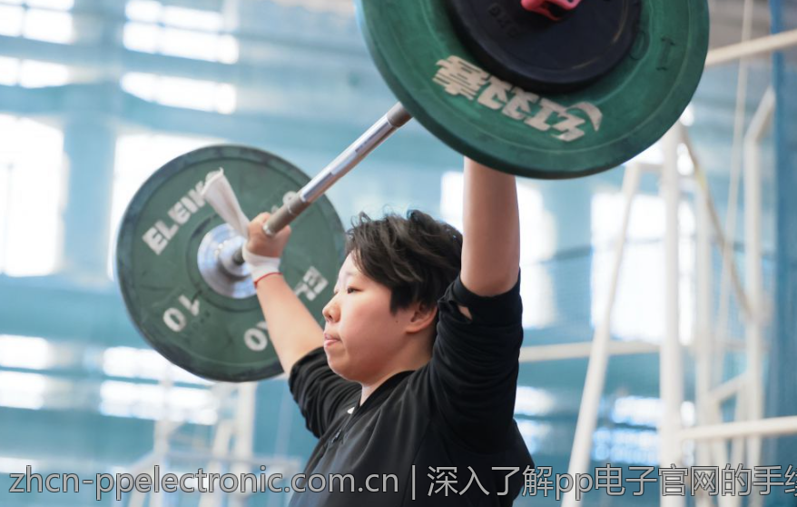深入了解pp电子官网的手续费与支付方式