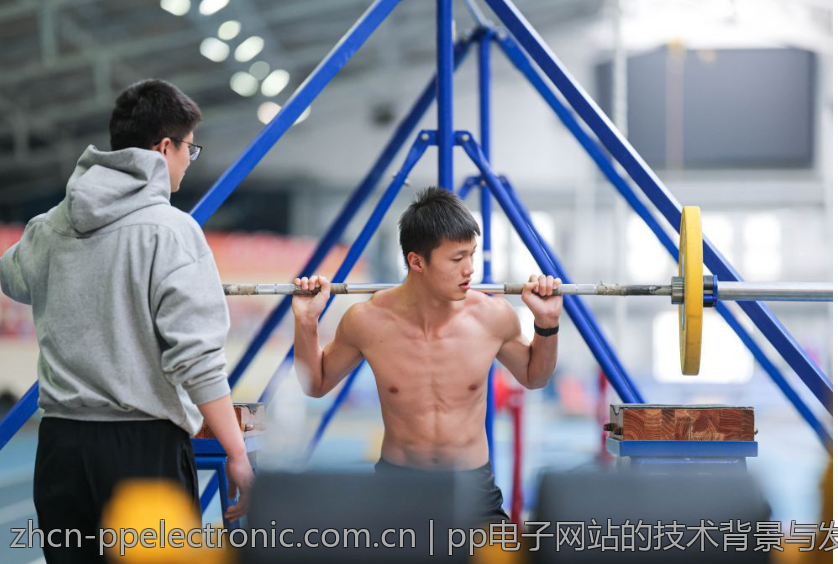 pp电子网站的技术背景与发展历程