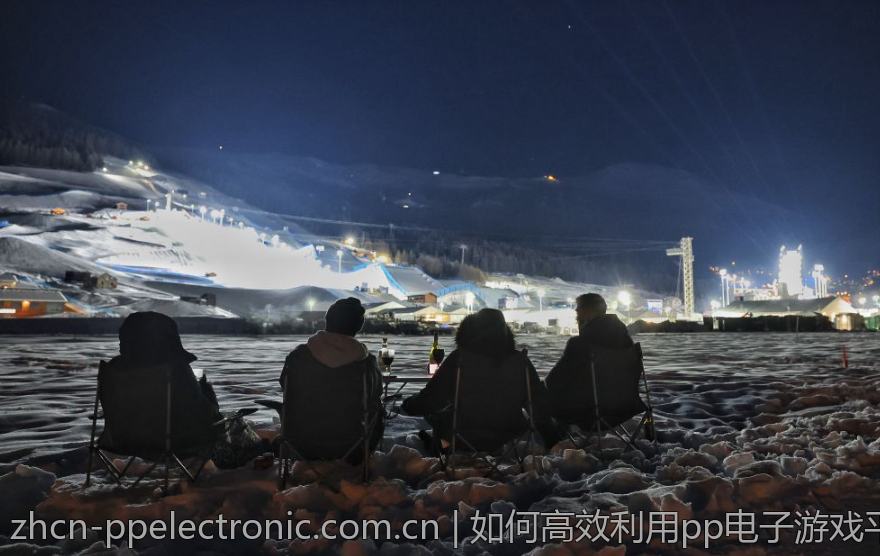 Pp电子在线网站的优势和劣势分析