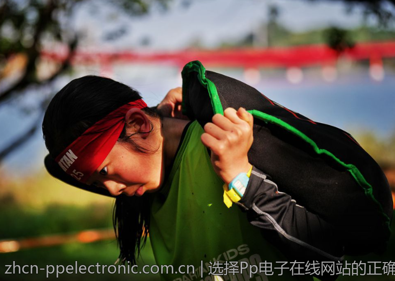 选择Pp电子在线网站的正确理由与依据